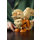 Arcanine