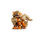 Arcanine