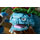 Venusaur, Charizard E Blastoise