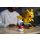 Pikachu E Poké Ball