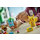 Smart Play™: Festa Delle Bacche Con Bulbasaur E Bidoof