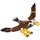 Aquila