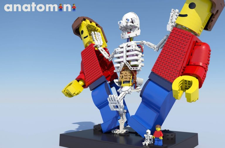 LEGO Ideas: Anatomini Raggiunge 10.000 Sostenitori