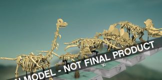 Dinosaurs Fossils Skeletons