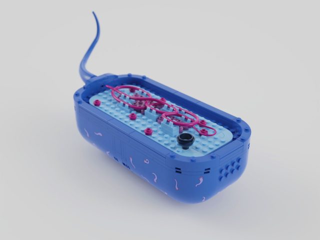 LEGO Ideas Biology prokaryote