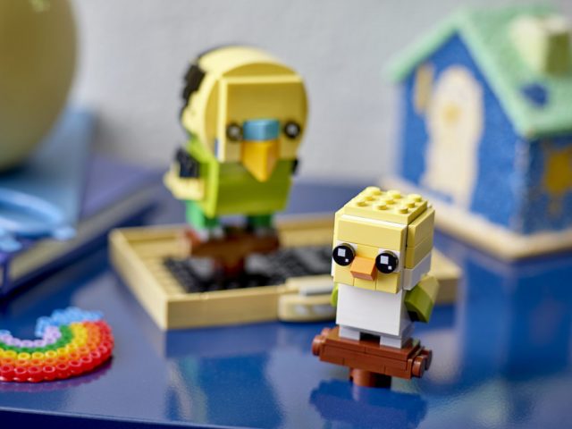 LEGO-BrickHeadz-40443-Budgie