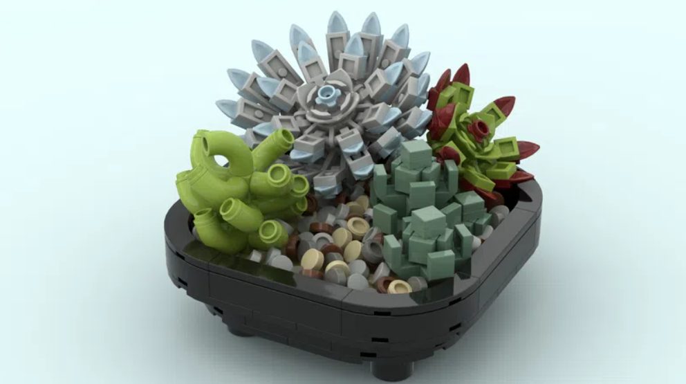 LEGO Ideas Succulent Garden Raggiunge 10.000 Sostenitori - Mattonito