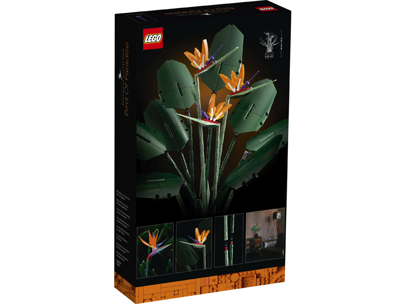 Rivelato il set LEGO Botanical Collection Bird of Paradise (10289) -  Mattonito