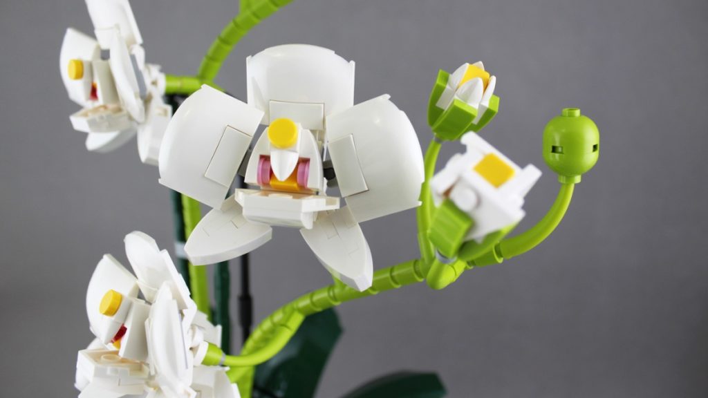LEGO Ideas Orchid Raggiunge 10.000 Sostenitori - Mattonito